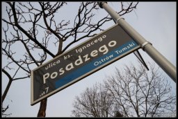 Ulica ks. Ignacego Posadzego w Poznaniu     